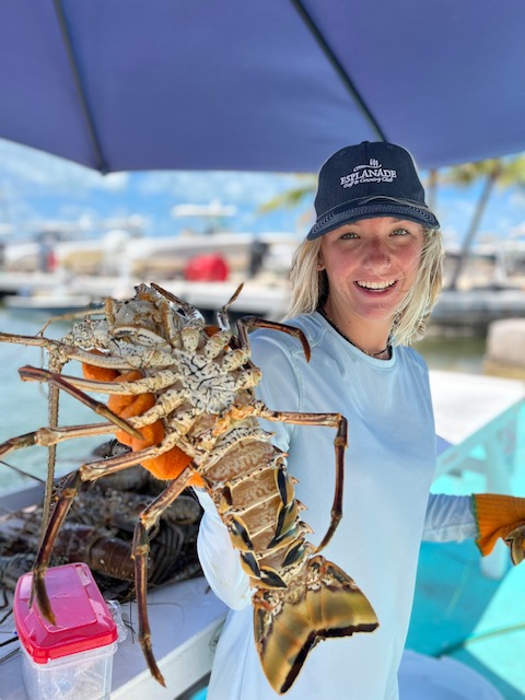 A Gorgeous Lady Caught a Giant Lobster at Florida Keys Marina