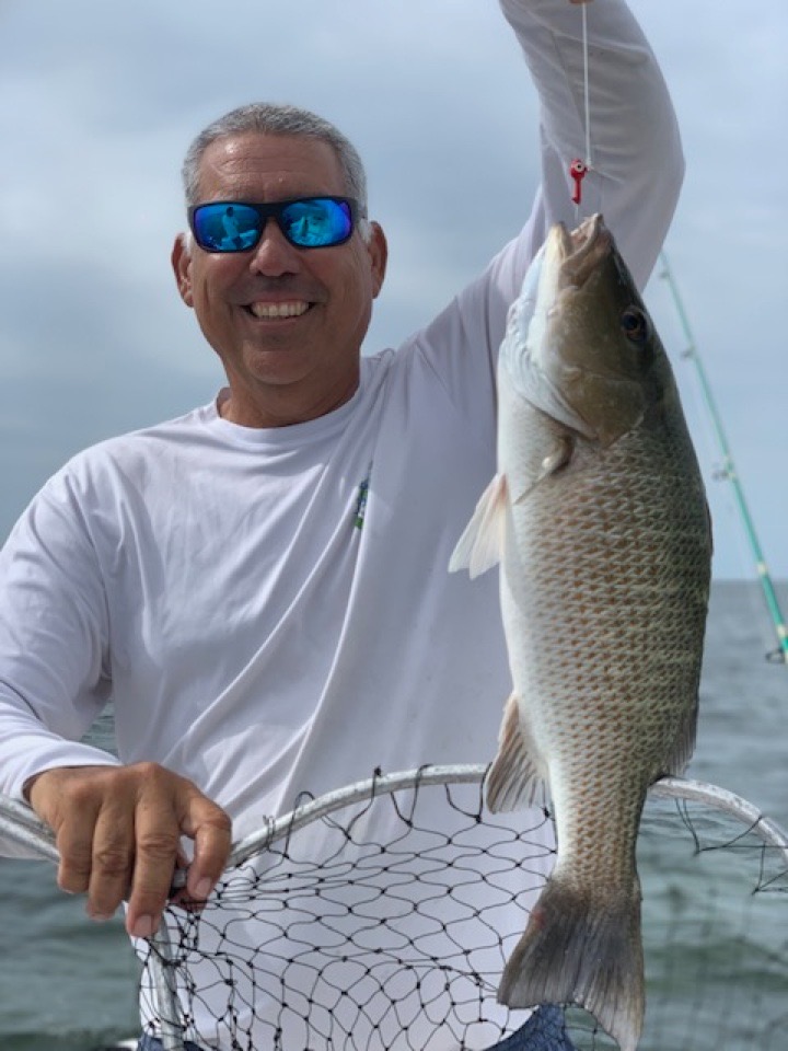 Caught Me a Big Mangrove Snapper Fish in Florida Keys Marina