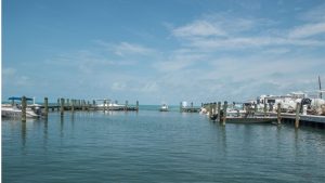 Best Florida Keys Bridge Fishing Spots: All You Need to Know
